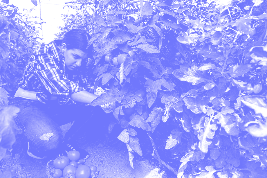 per a empreses 3 fundacio joia